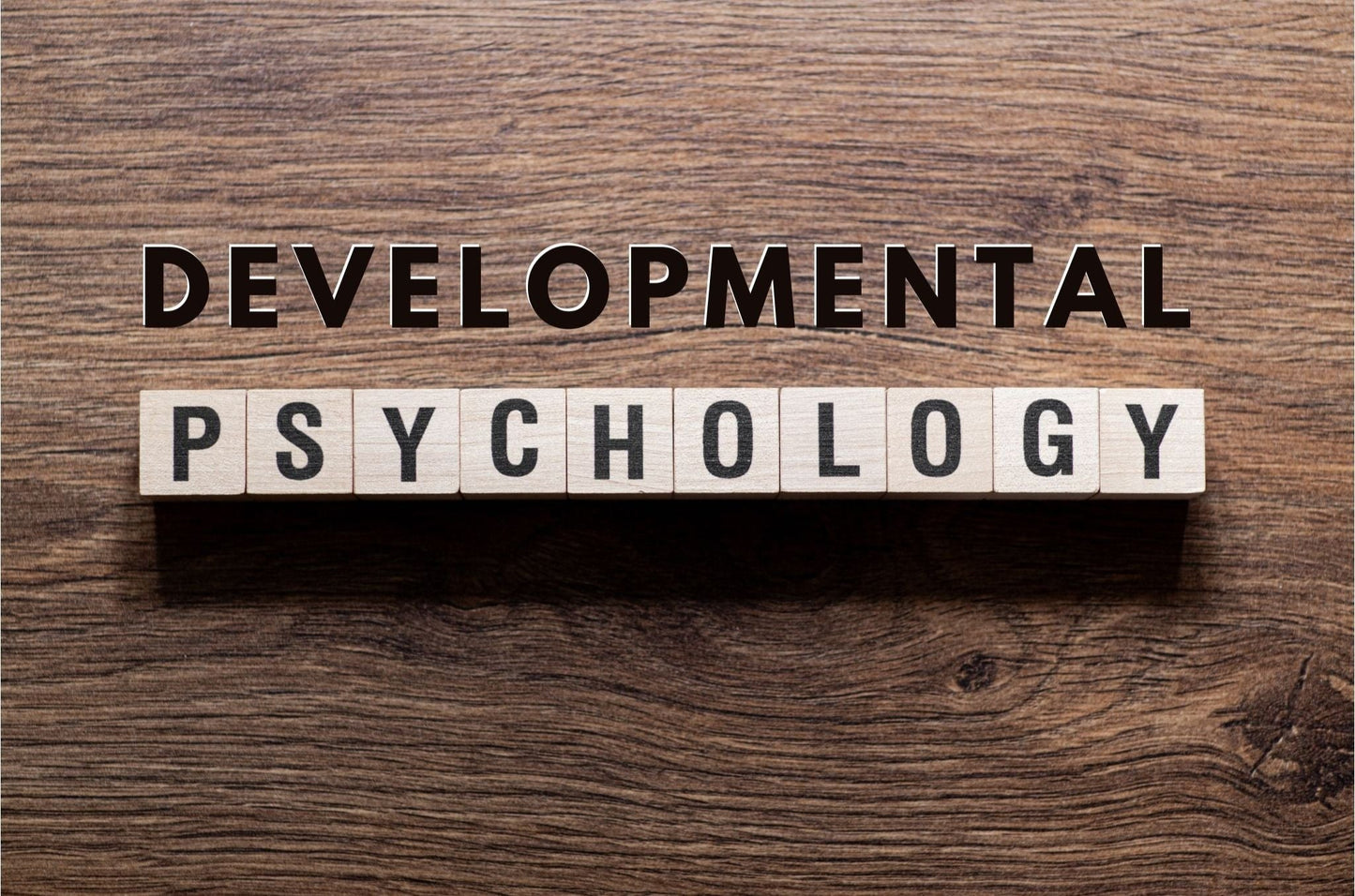 Developmental Psychology - PSYC 2523