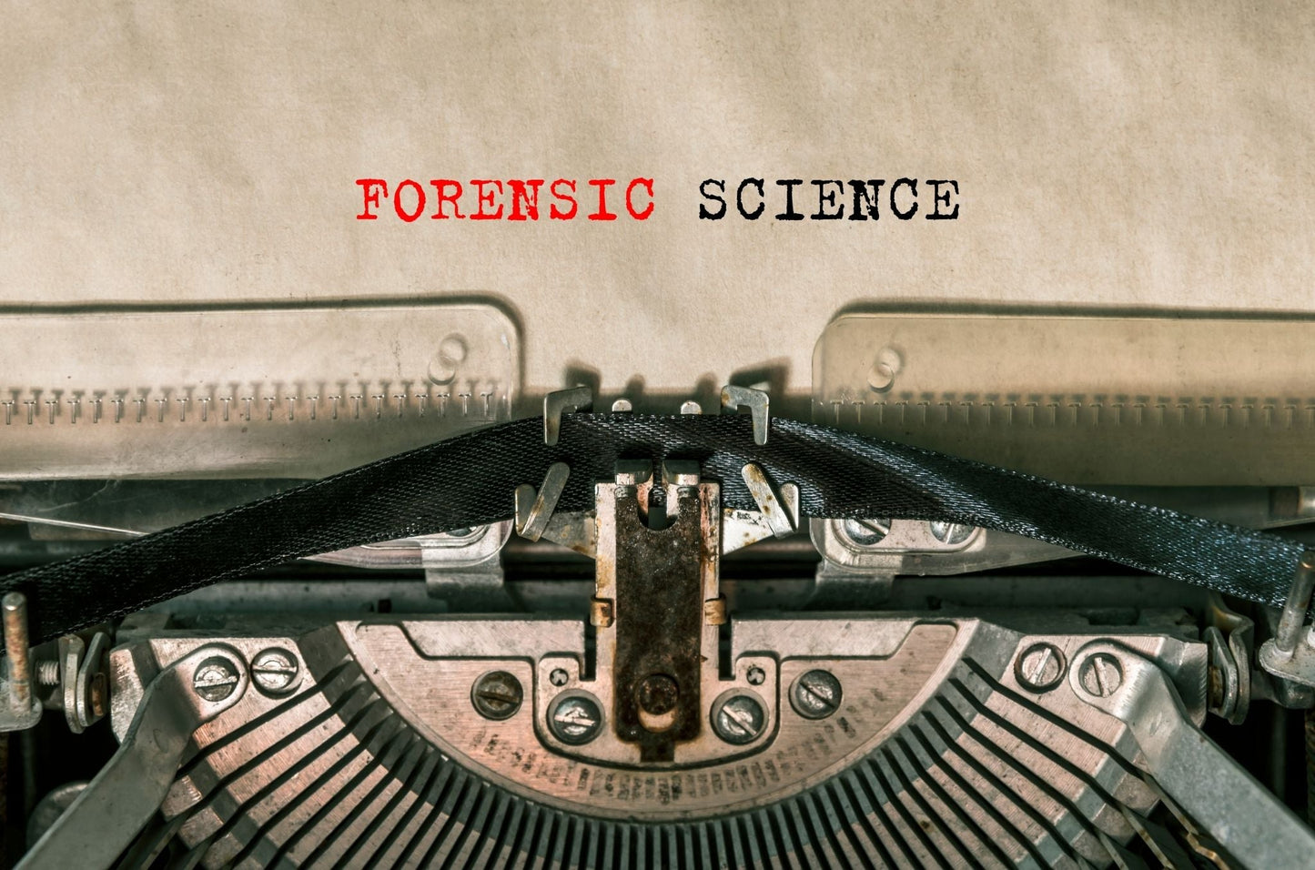 Forensic Science Fantasy: Among Us Detective